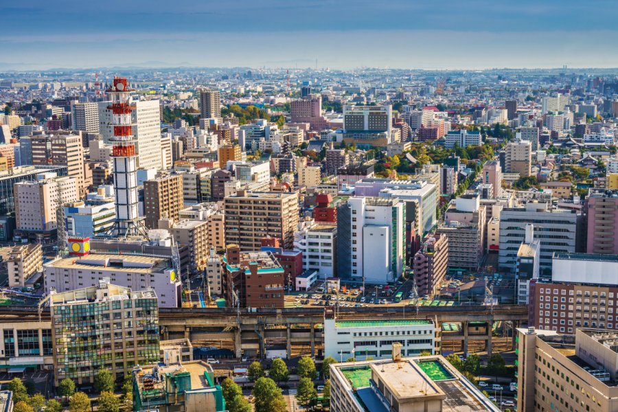 La ville de Sendai. SeanPavonePhoto