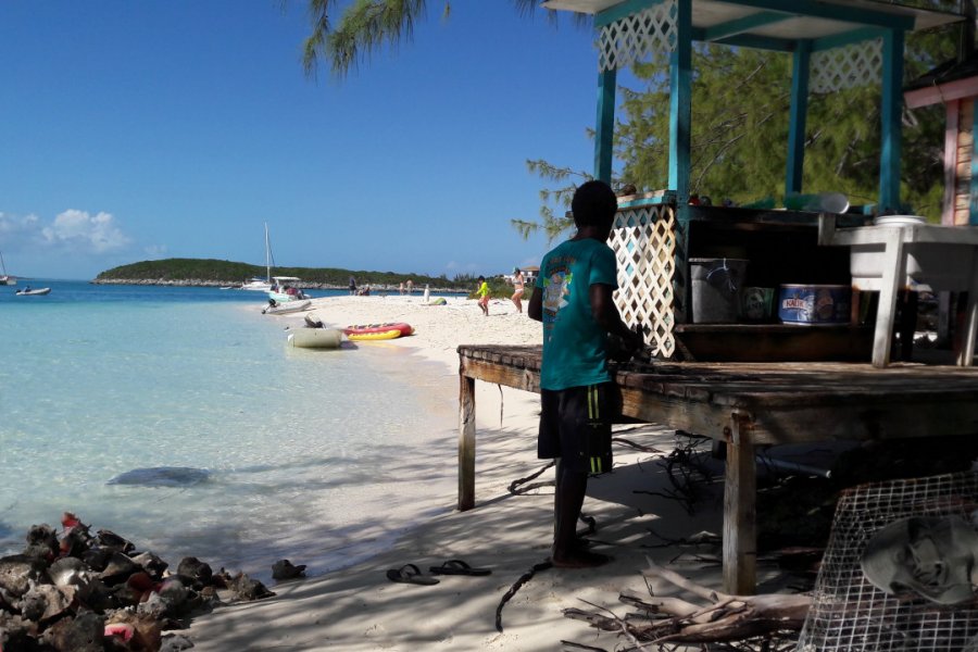 Bientôt, la salade de conch sera prête et les raies se régaleront des restes ! Roxane LAMOUILLE