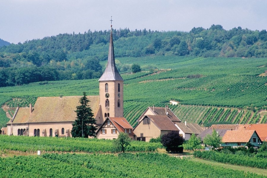 Blienschwiller, village tourné vers la viticulture. Irène ALASTRUEY - Author's Image