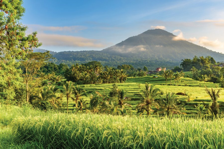 Paysage près de Tabanan. GorazdBertalanic - iStockphoto.Com