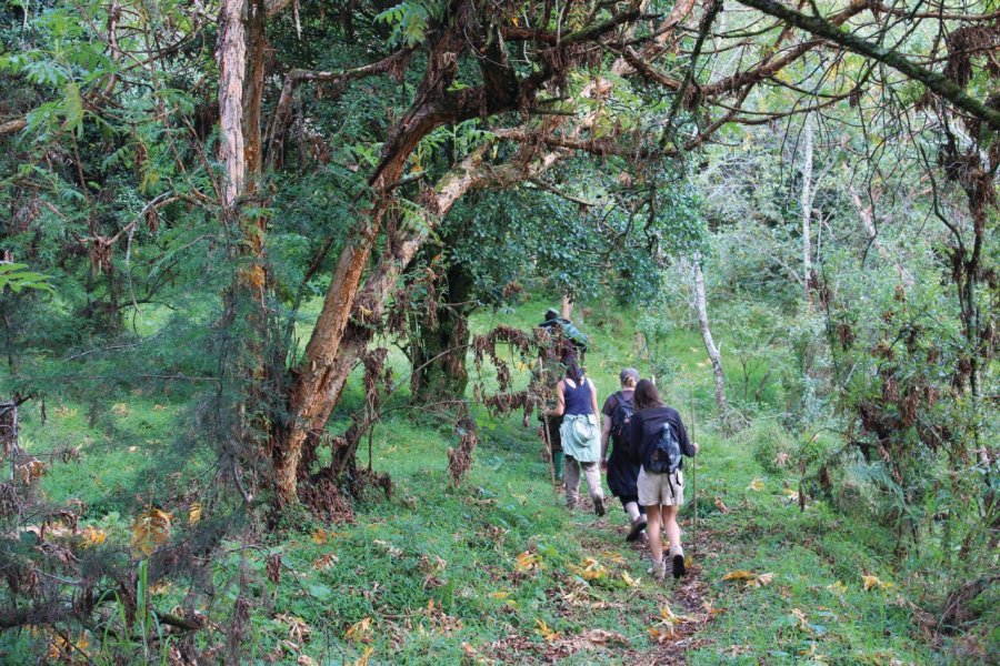 Randonnée dans le Mgahinga National Park. Abdesslam Benzitouni