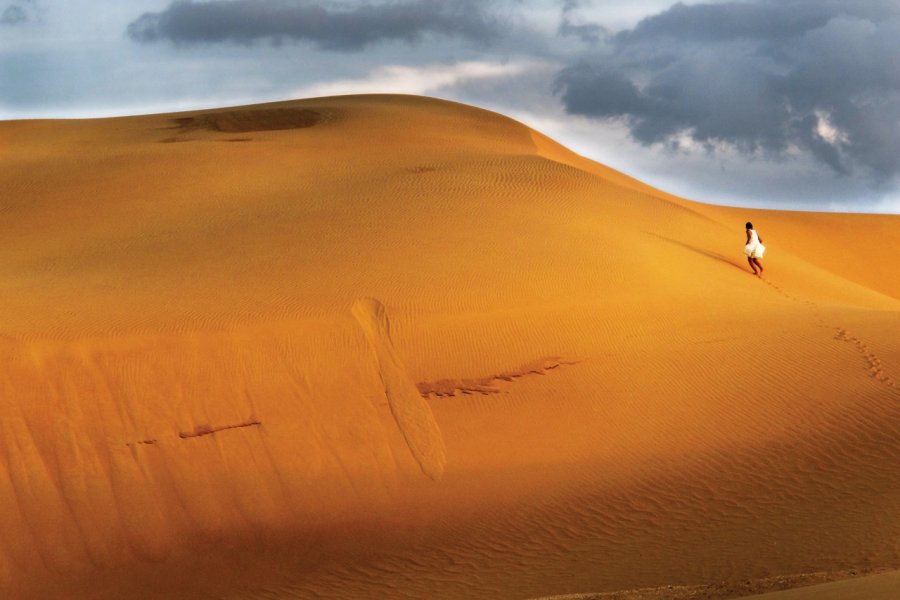 Désert du Parque Nacional Medanos de Coro. Elyxandro Cegarra Gomez