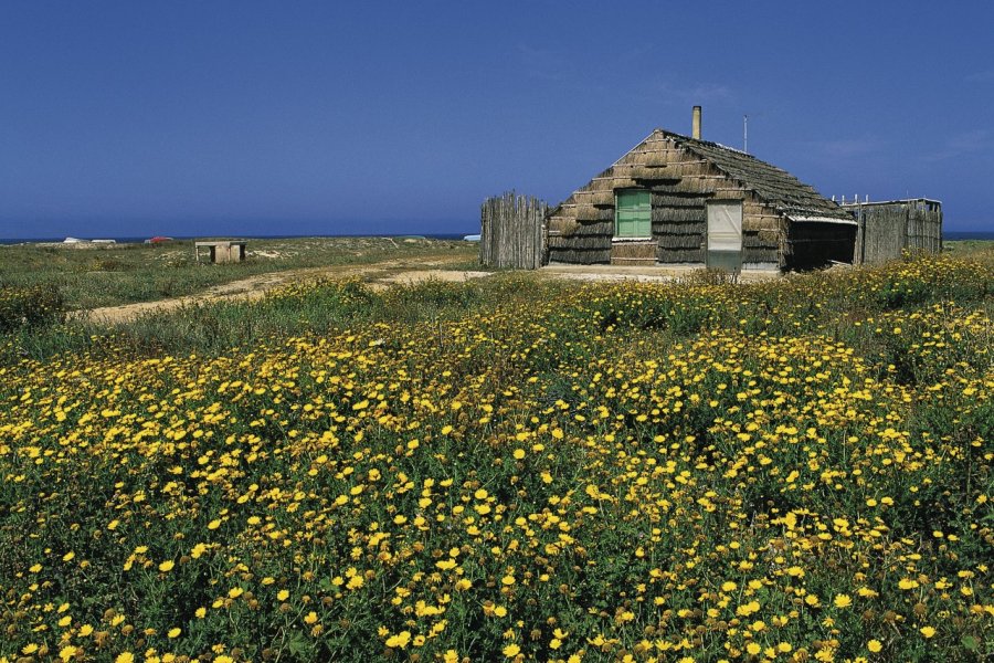 Maison de pêcheurs de la péninsule de Sinis. Hugo Canabi - Iconotec