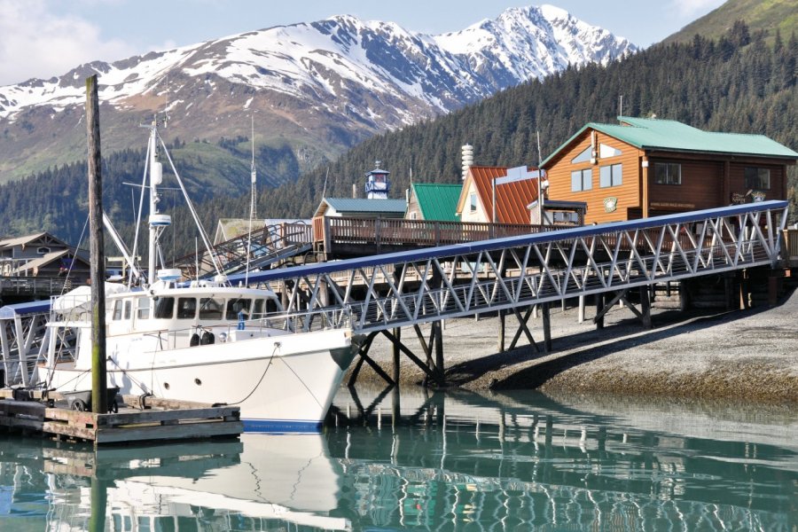 Port de Seward Bay. Alce - Fotolia