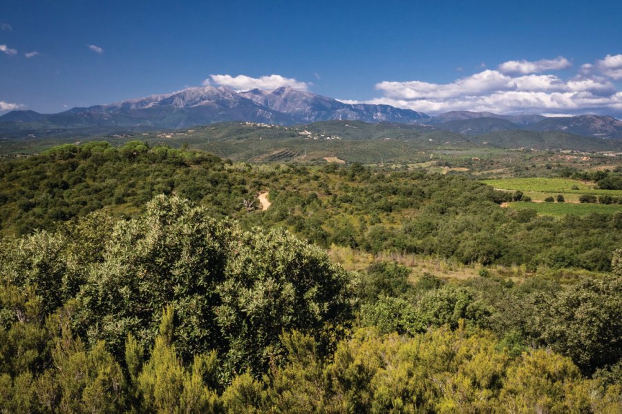 Vue sur les Aspres et le Canigó. (© Laurent Pierson))