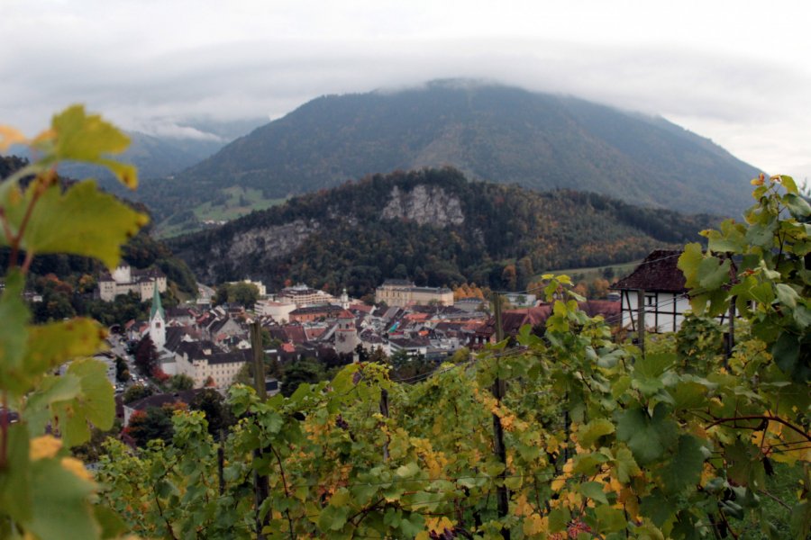 Vignes et vue sur Feldkirch. Henri  FRUNEAU