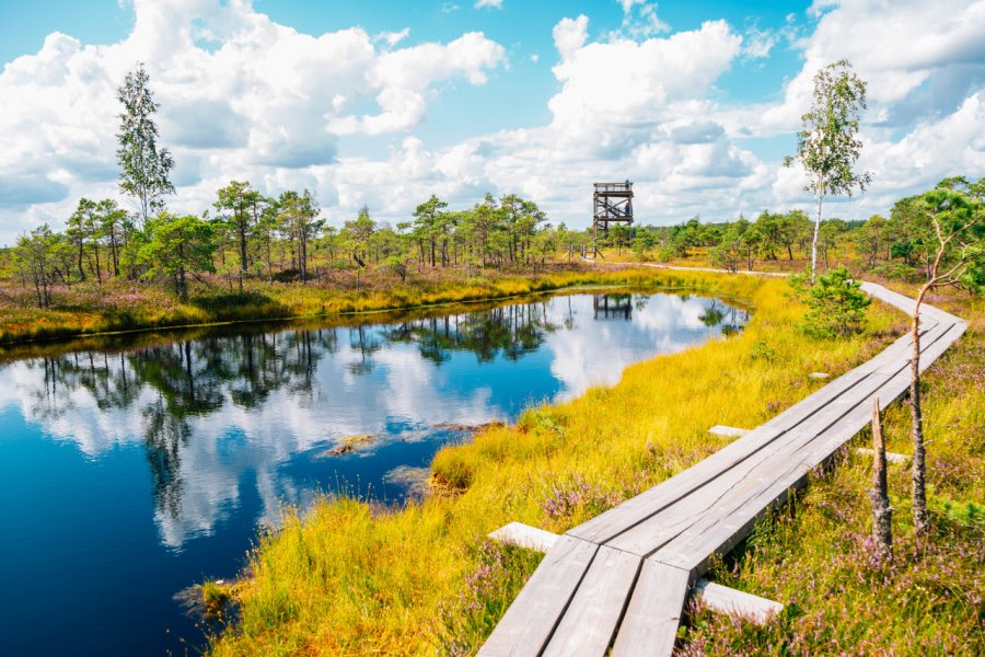 Parc national de Kemeri. Sanga Park - Shutterstock.com