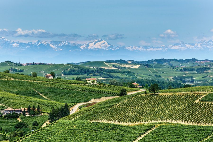 Paysage caractéristique des Langhe. Clodio - iStockphoto