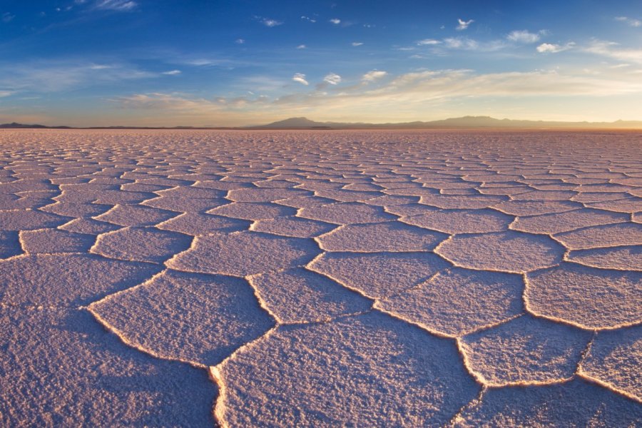 Salar de Uyuni. David Krijgsman / Shutterstock.com