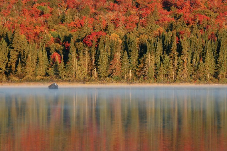 Couleurs d'automne dans le parc provincial Algonquin. ca2hill - iStockphoto