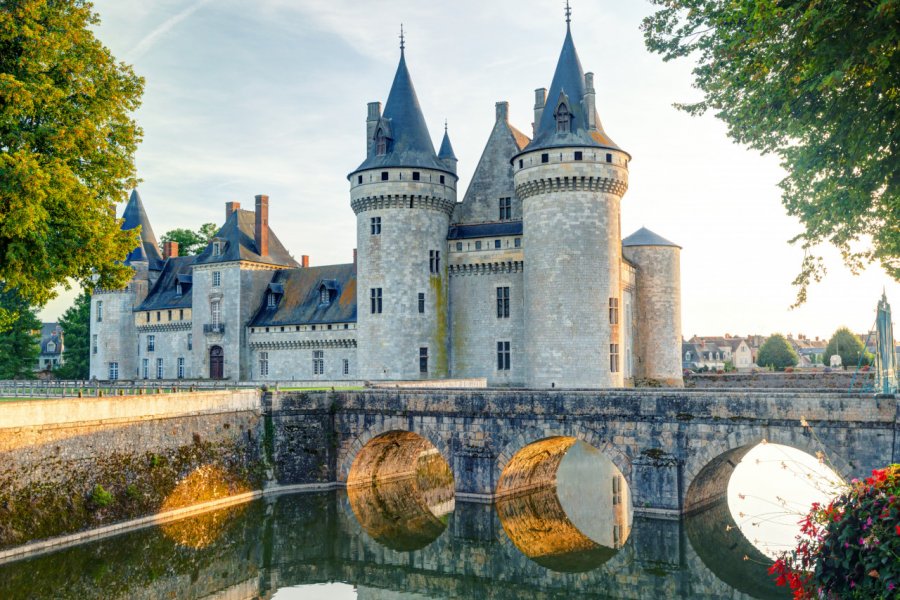 Le château de Sully-sur-Loire. scaliger - stock.adobe.com