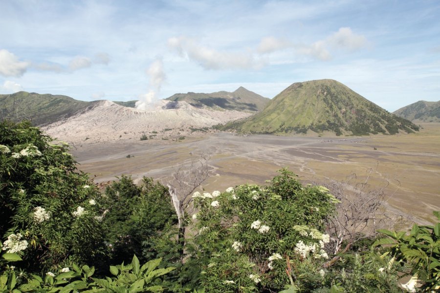 Mont Bromo vu depuis le village de Cemoro Lawang. Stéphan SZEREMETA