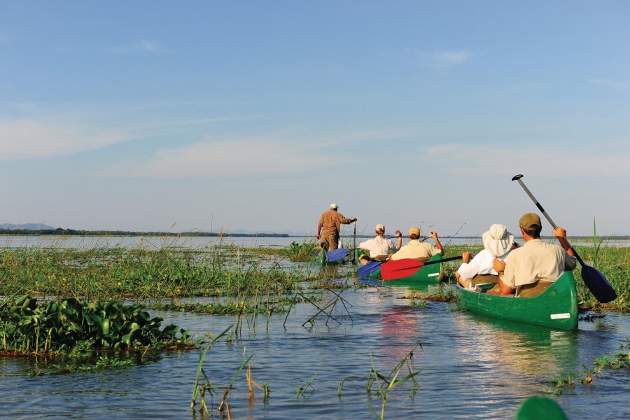 Excursion en canoë sur le fleuve Zambèze au Mana Pools National Park. Bobbushphoto - iStockphoto.com