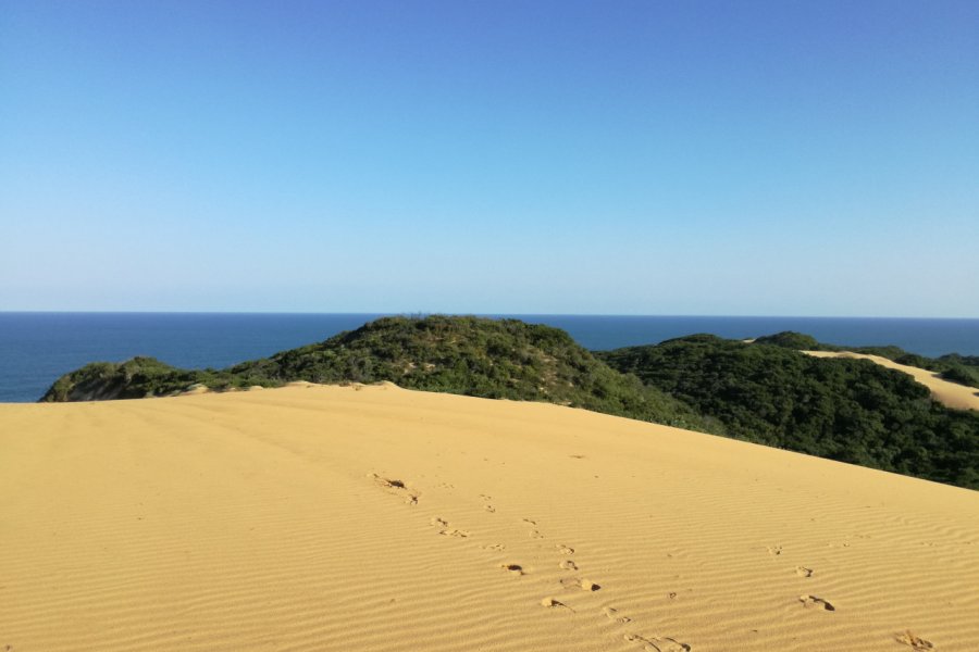 La plage de Bilene. Elisa Vallon