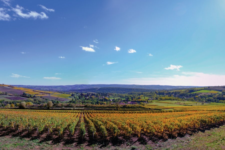 Panorama sur le vignoble couchois. Grand Autunois tourisme - Jean-Marc SCHWARTZ