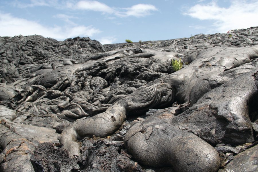 Hawaii Volcanoes National Park. Ludovic COSTE