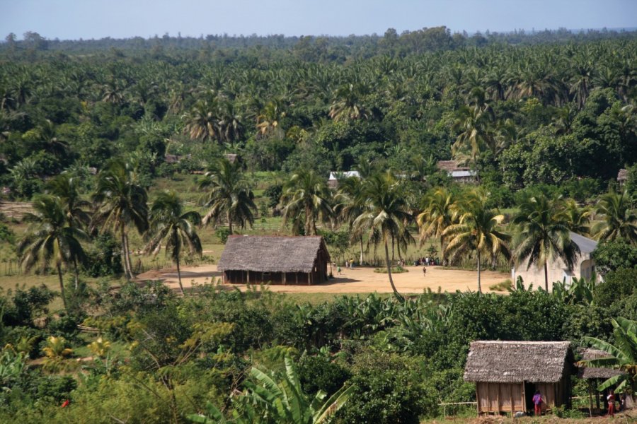 Paysage de l'est malgache Arnaud BONNEFOY