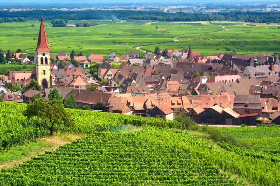 Vignoble à Ammerschwihr. Mellow10 - Fotolia