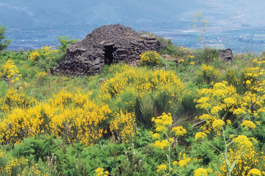 Coteaux de l'Etna à Randazzo. Author's Image