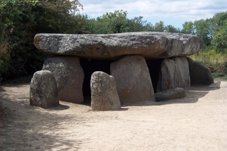 Dolmen de la Frébouchère Communauté de Communes du Talmondais