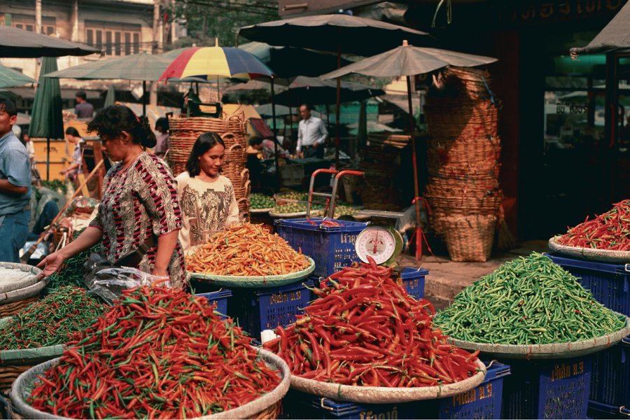 Marché de Pak Khlong. Author's Image