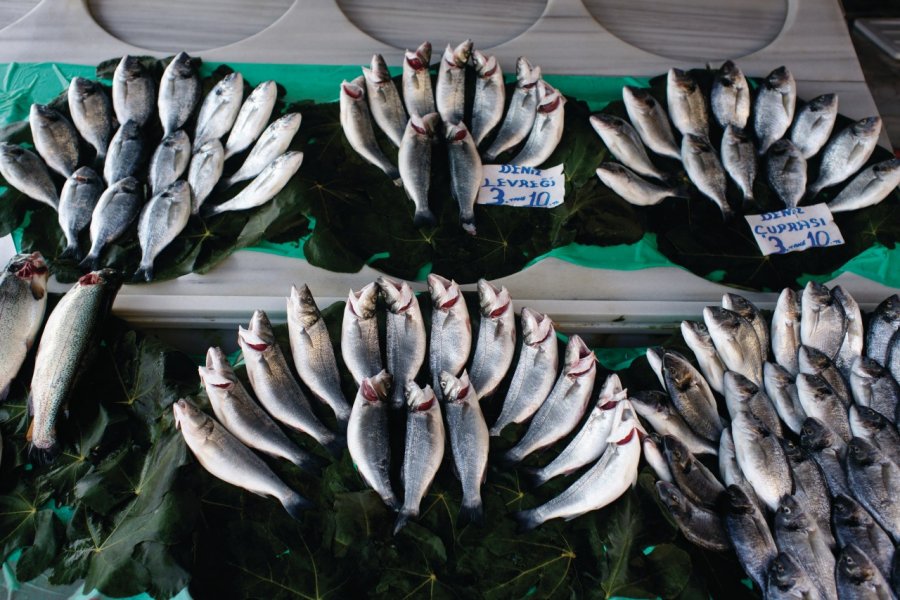 Marché aux poissons à côté du pont de Galata. (© Sébastien Cailleux))
