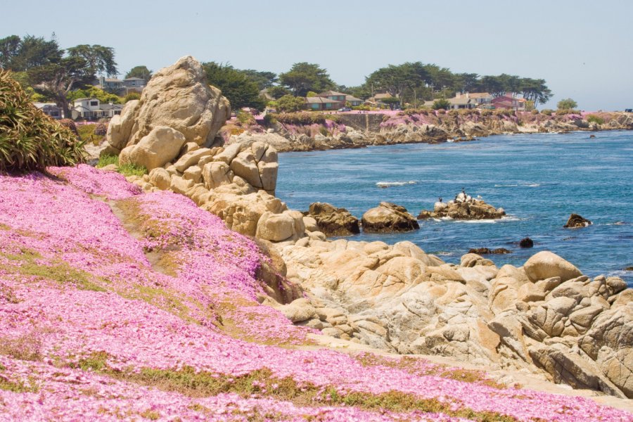 Monterey Bay. Alantobey - iStockphoto