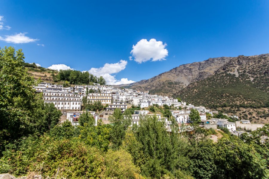 Le village de Trevélez. Octavian 707 - Shutterstock.com