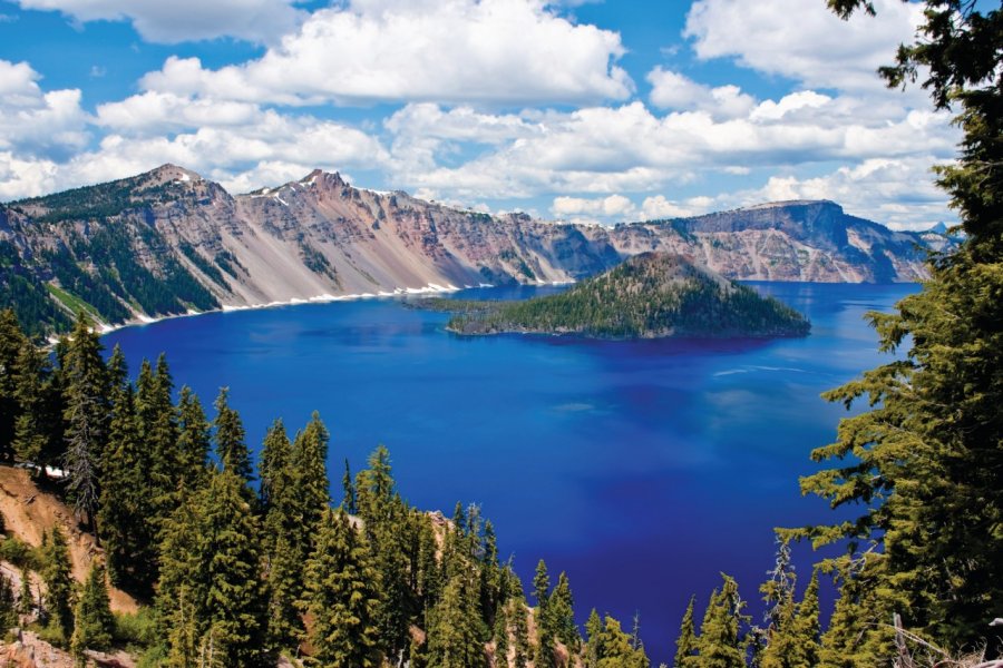 Crater Lake National Park. Dendron - iStockphoto