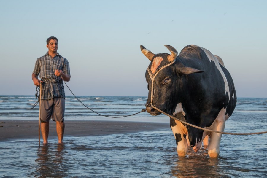 Rencontre à Sohar. Katiekk - Shutterstock.com