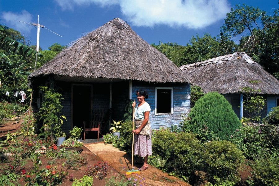 Habitat de la région de Banes. Author's Image