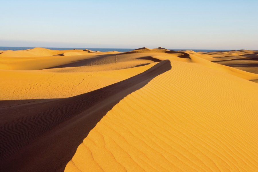 Dunes de Maspalomas. Author's Image