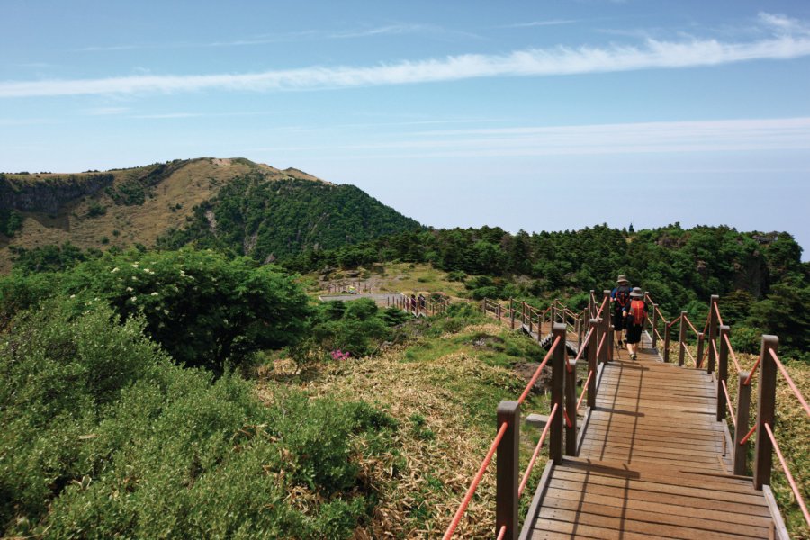 Randonnée au mont Hallasan. Office National du Tourisme Coréen