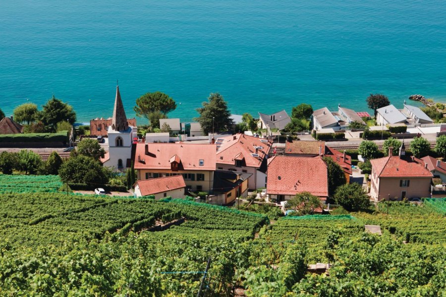 Les villages de Lutry et Pully. Philippe GUERSAN - Author's Image