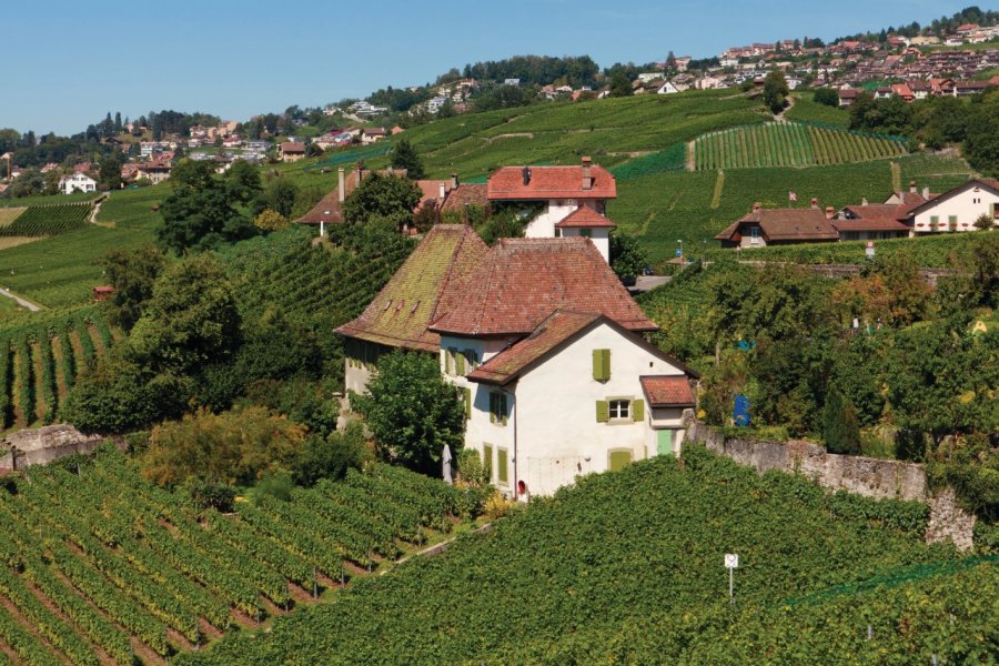 Les villages de Lutry et Pully. Philippe GUERSAN - Author's Image