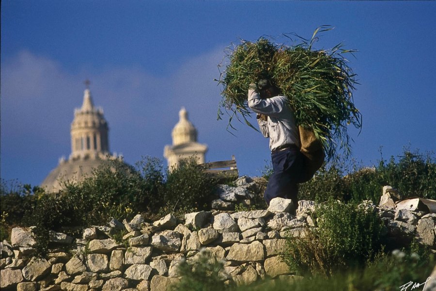 A Xewkija. Ted Attard