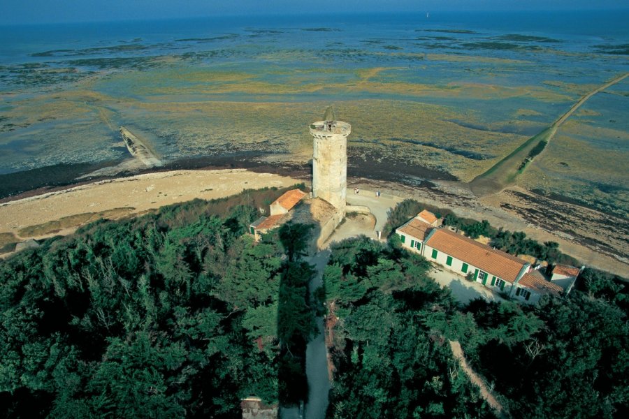 Île de Ré BDLM - Iconotec