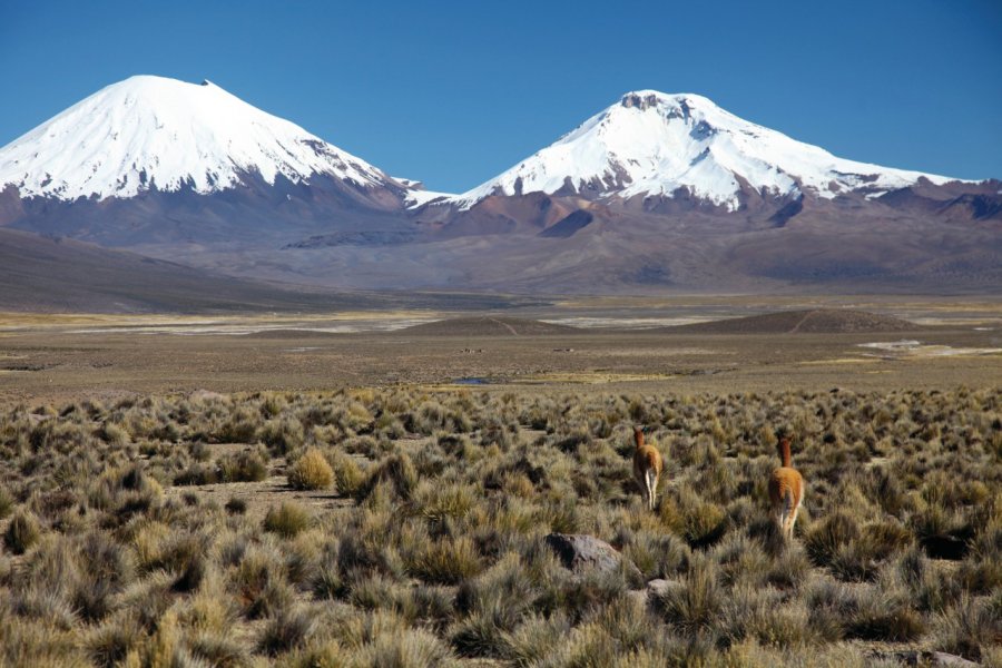 Les volcans Parinacota et Pomerape, vus depuis le village de Sajama. Arnaud BONNEFOY