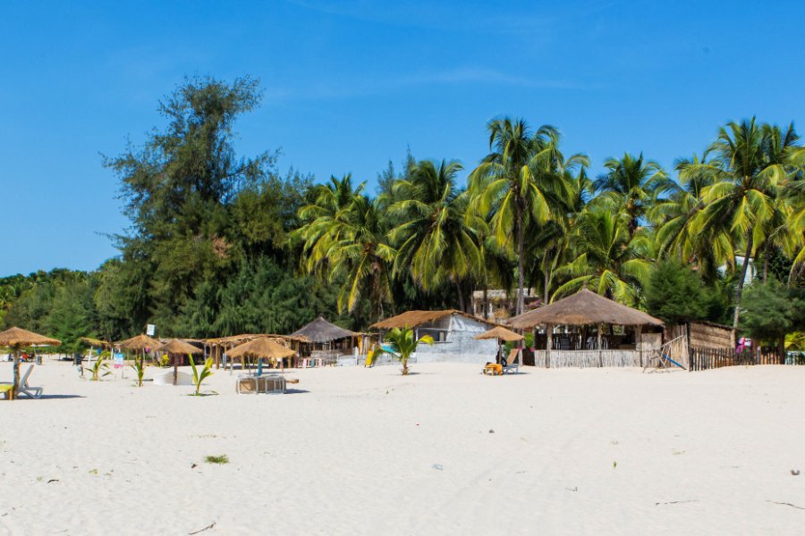 Destination balnéaire idéale, le Sénégal possède de jolies plages, comme celle du Cap Skirring. Damian Pankowiec - Shutterstock.com