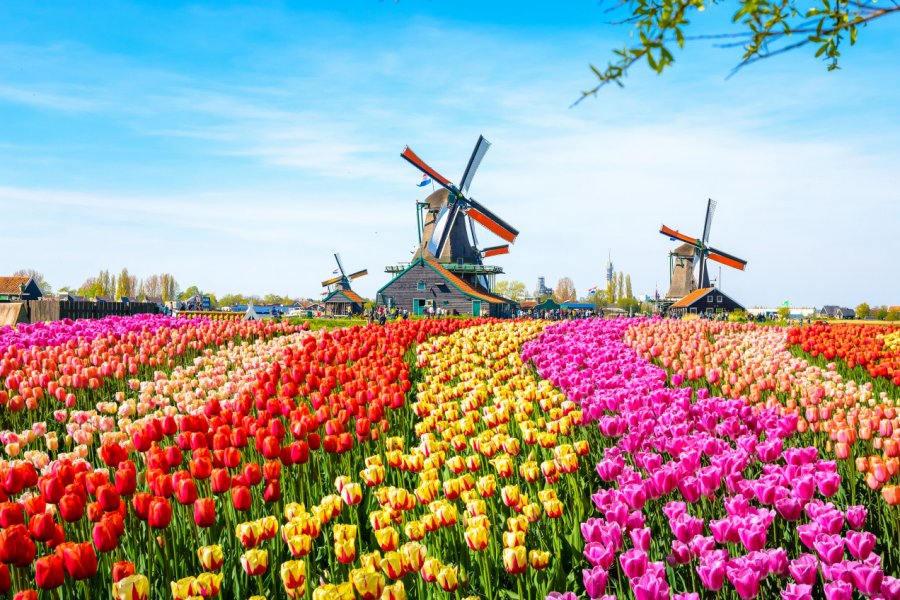 Moulins traditionnels, Zaanse Schans. Olena Z - Shutterstock.com