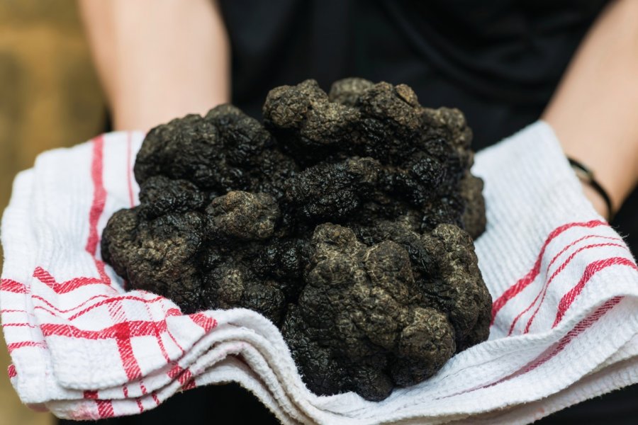 Truffes de Dordogne. OSTILL - iStockphoto