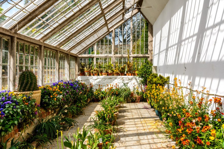 Les Candie Gardens à Guernesey. Elke Kohler - Shutterstock.com