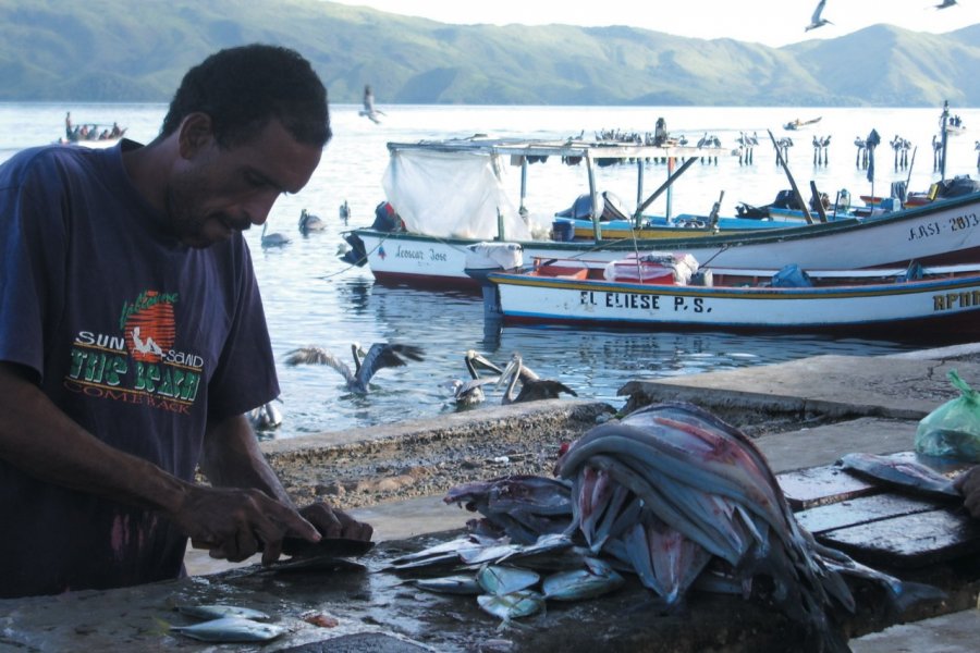 Pêcheur sous l'oeil gourmand des pélicans. Laurent BOSCHERO