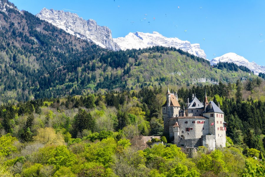 Château de Menthon-Saint-Bernard. Sergey Berestetsky - Shutterstock.com