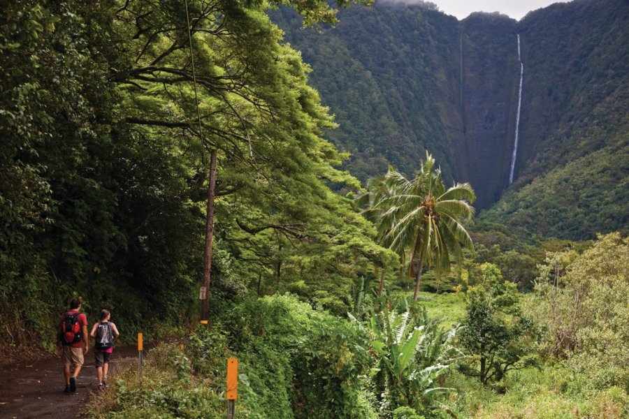 Hi'ilawe Waterfall. Hawaii Tourism Authority (HTA) / Tor Johnson