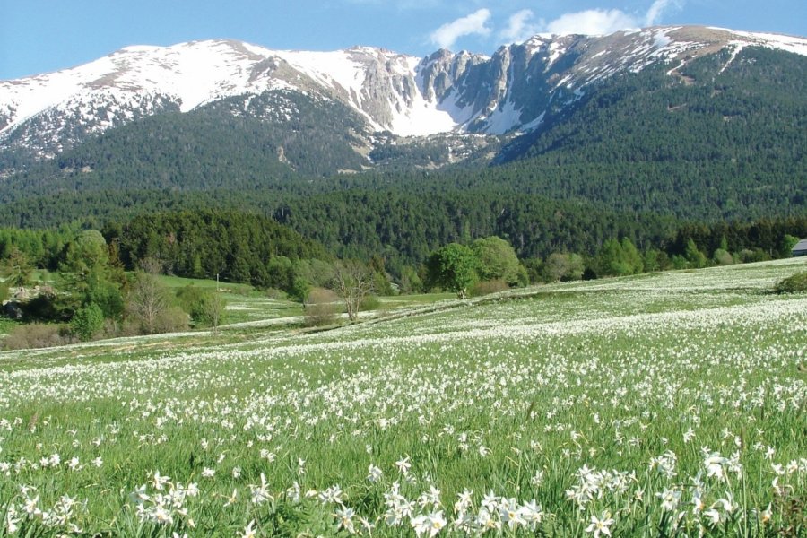 Le Massif du Cambre d'Aze Destination Pyrénées Catalanes