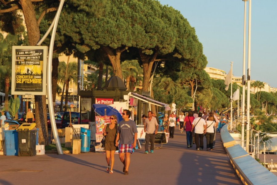 La Croisette (© Lawrence Banahan - Author's Image))