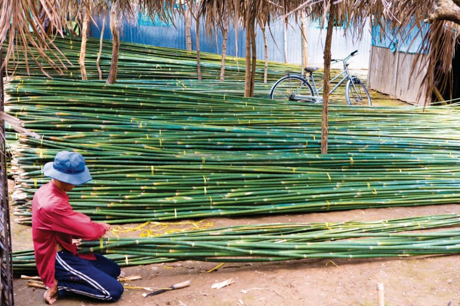 Le bambou, une plante aux multiples usages au Viêt Nam. Author's Image