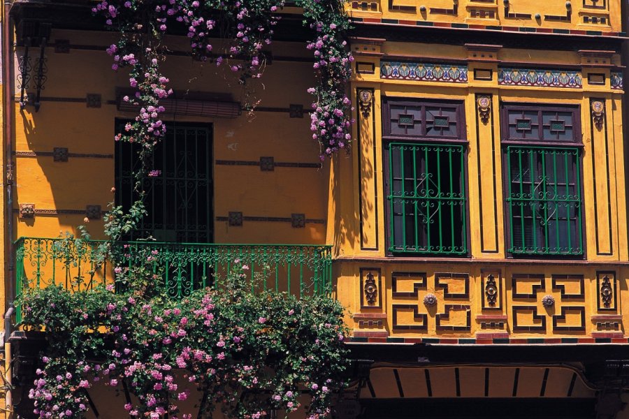 Balcon fleuri. Author's Image