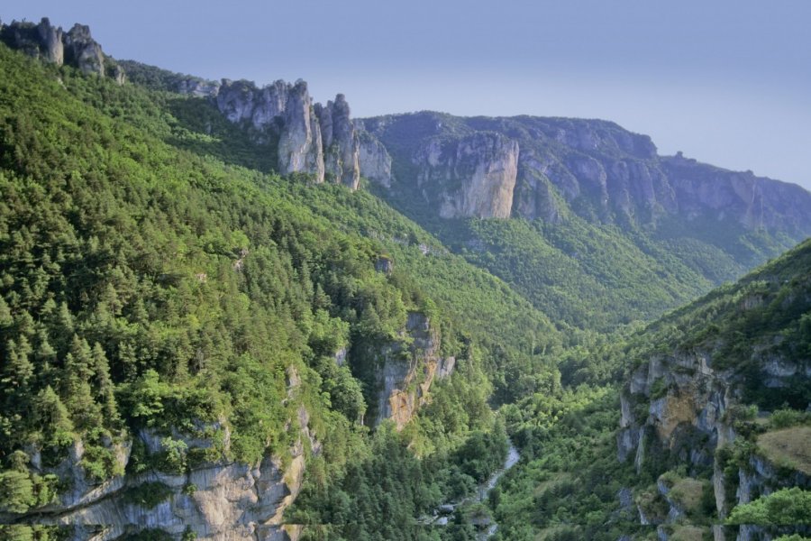 Les gorges de la Jonte. David Hughes - Shutterstock.com